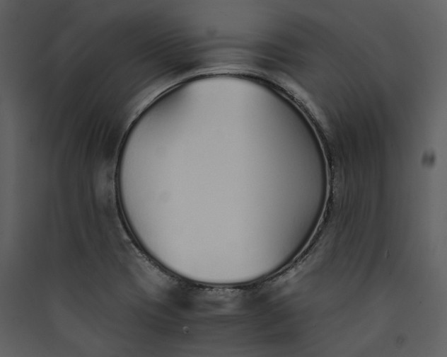 X0000089931417200707131422