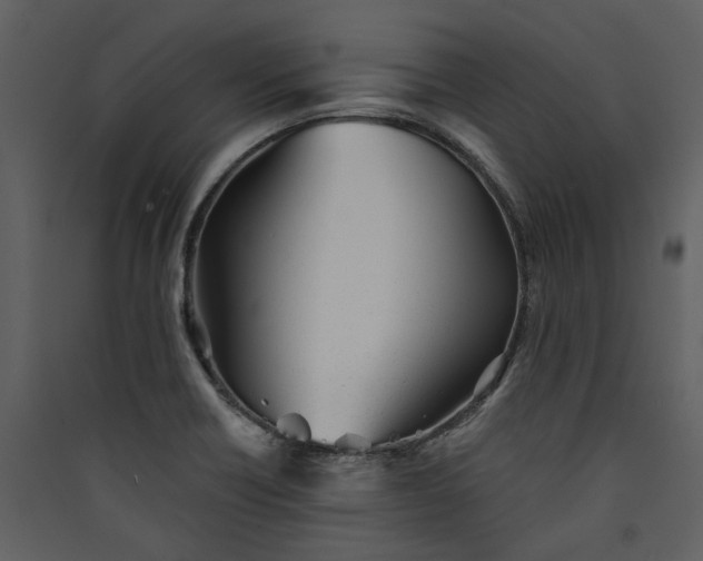 X0000089931418200707131422