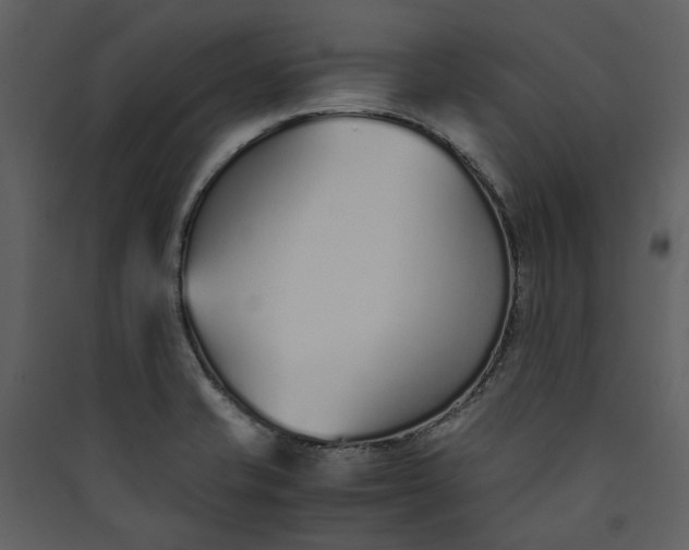 X0000089931421200707131423