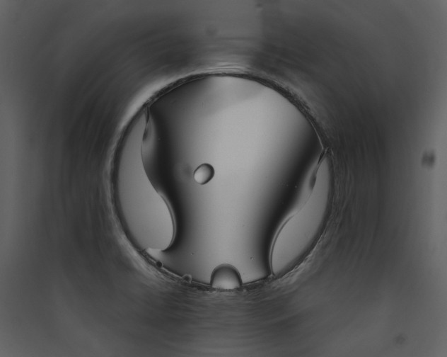 X0000089931422200707131423