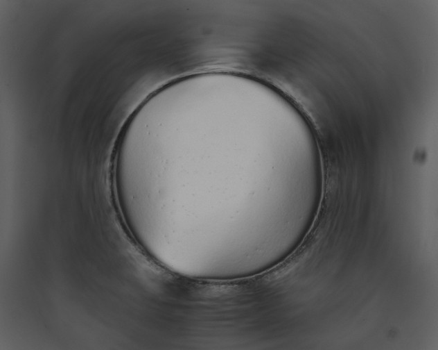 X0000089931423200707131423