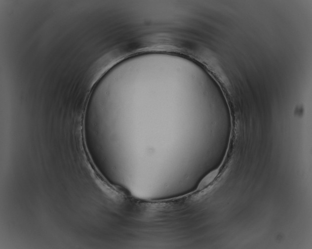 X0000089931425200707131423