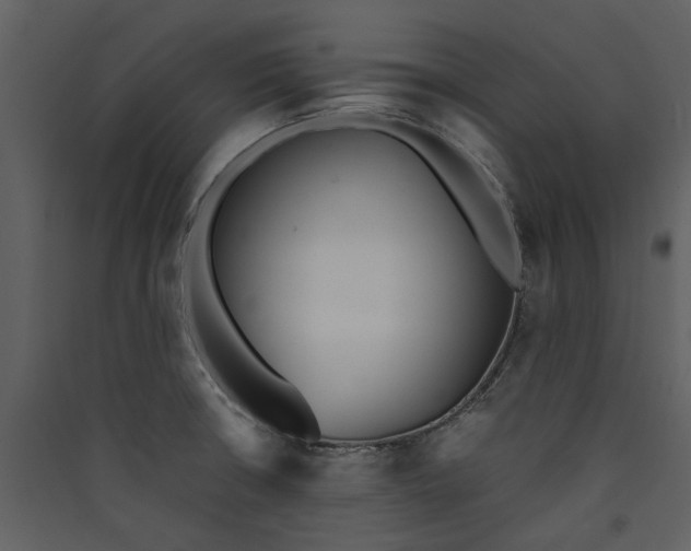 X0000089931426200707131423