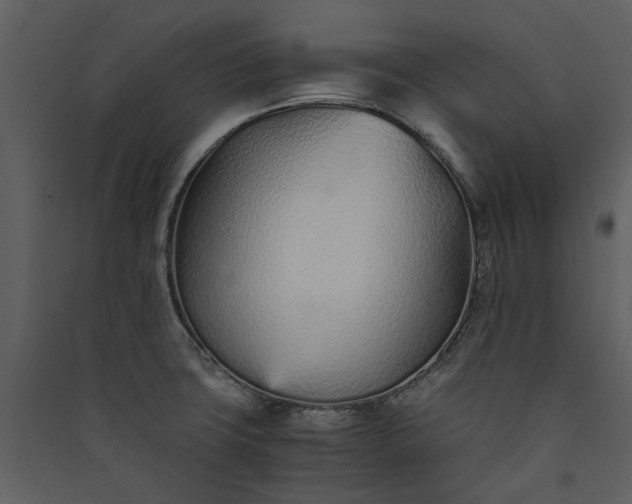 X0000089931427200707131423