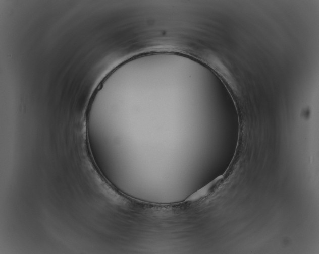 X0000089931428200707131423