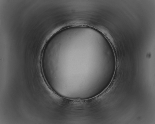 X0000089931429200707131423