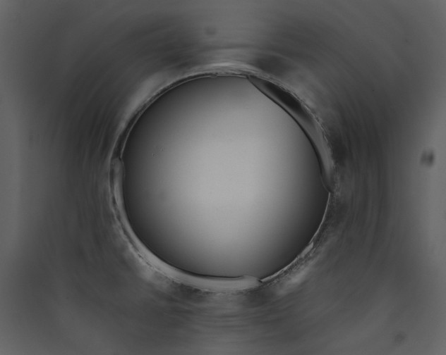 X0000089931430200707131423