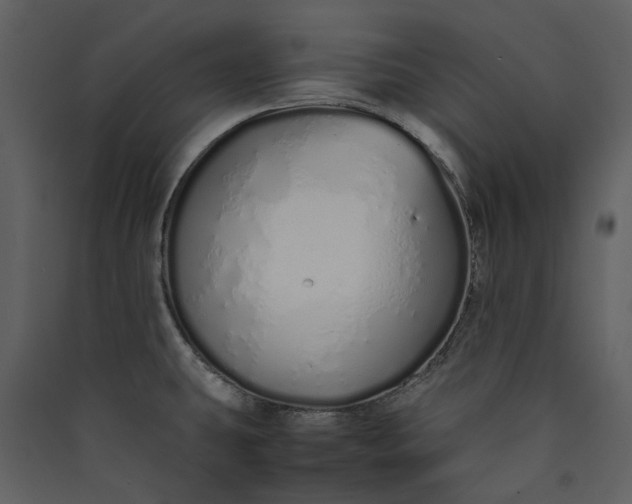 X0000089931431200707131423