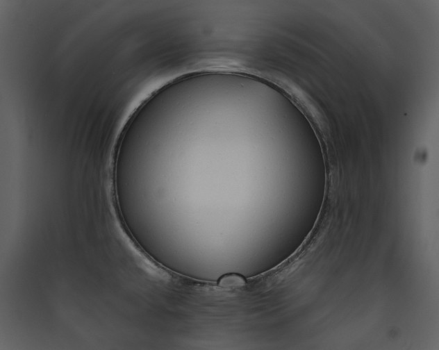 X0000089931432200707131423