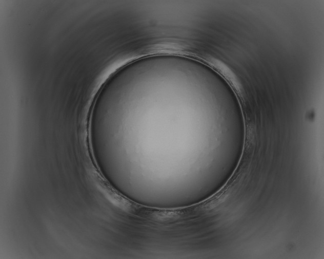 X0000089931435200707131423