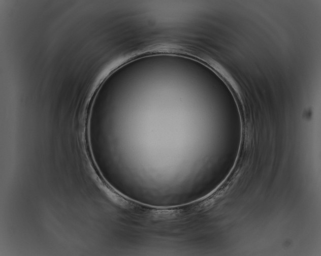 X0000089931437200707131423