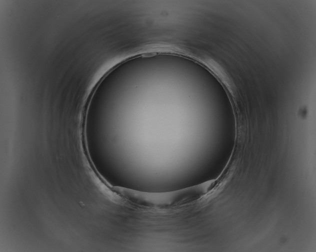 X0000089931438200707131423