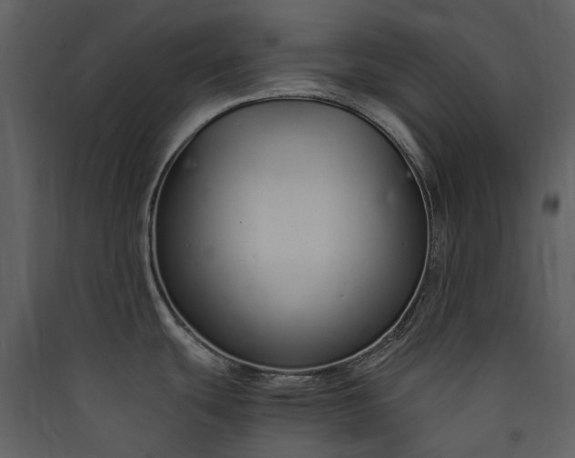 X0000089931439200707131423