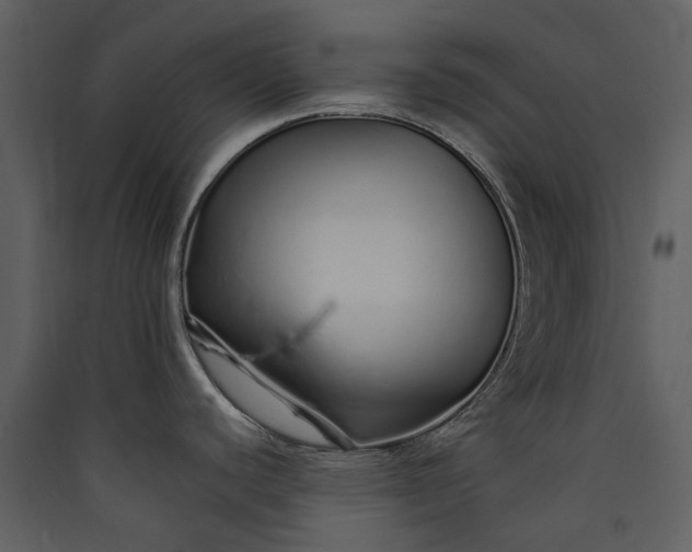 X0000089931440200707131423