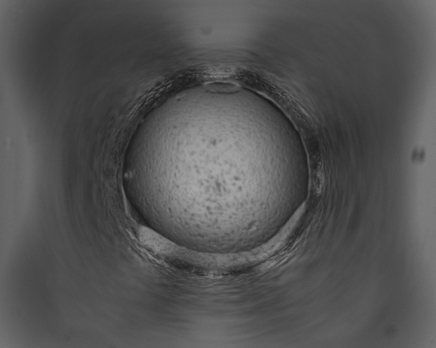 X0000089931441200707131422