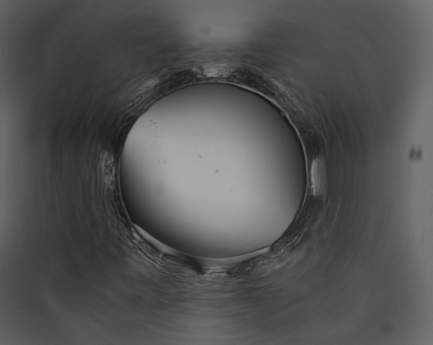 X0000089931443200707131422