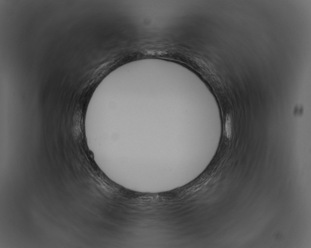 X0000089931444200707131422