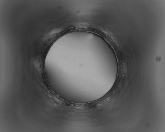 X0000089931445200707131422