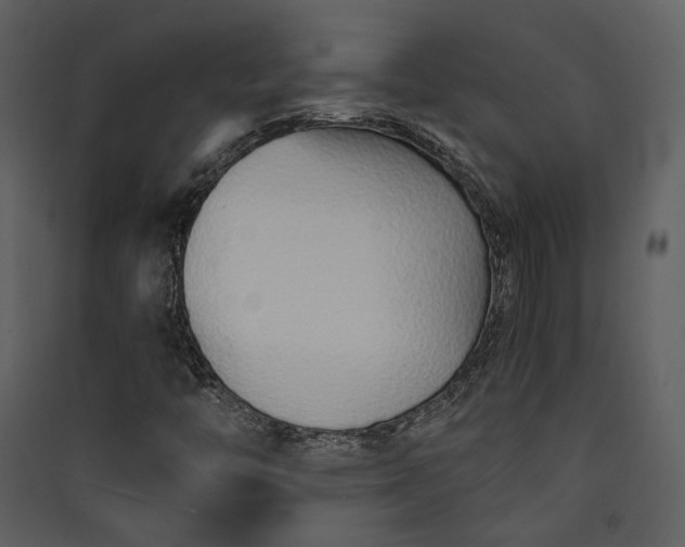 X0000089931446200707131422