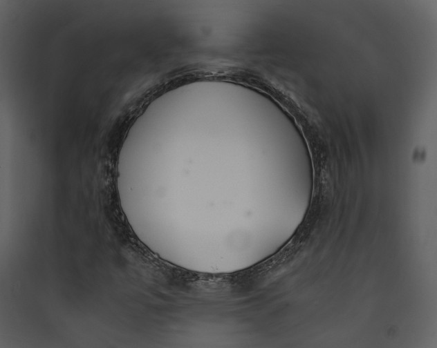 X0000089931447200707131422