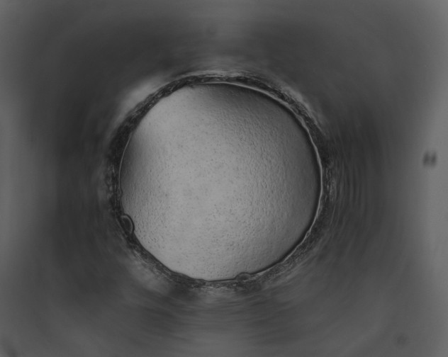 X0000089931448200707131422