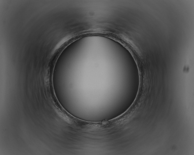 X0000089931450200707131422