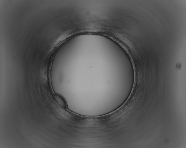 X0000089931451200707131422