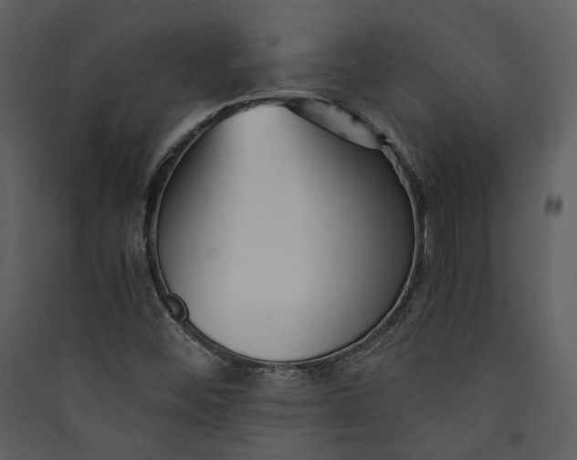 X0000089931452200707131422