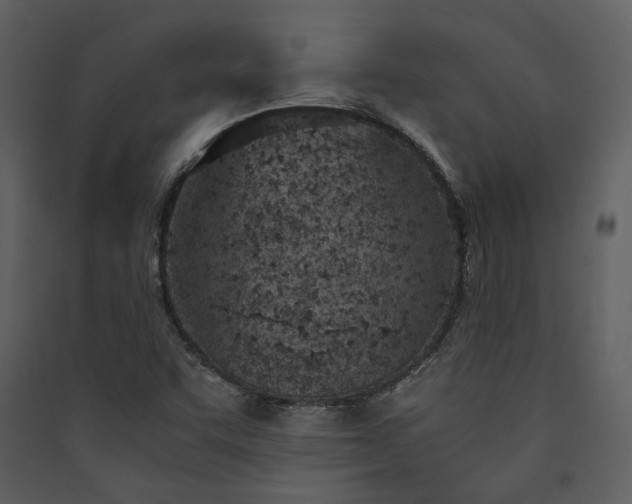 X0000089931455200707131422