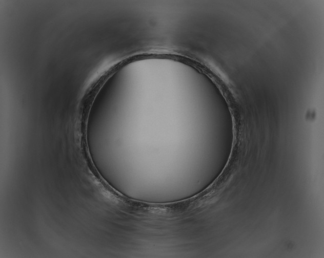 X0000089931456200707131422