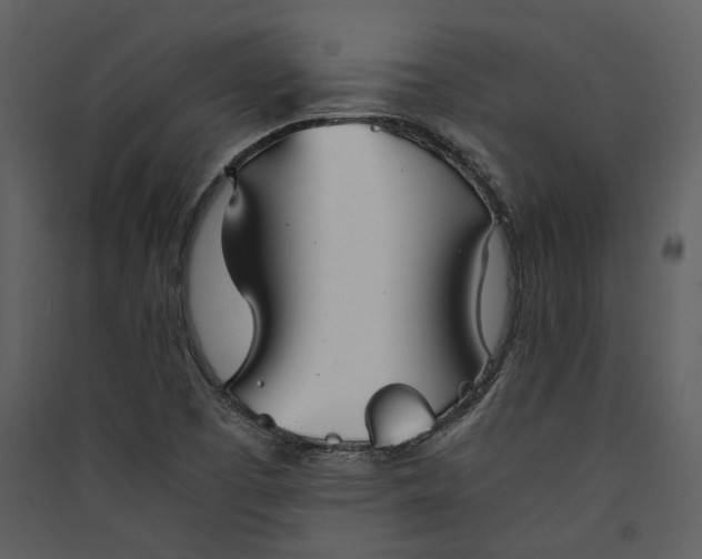 X0000089931457200707131422