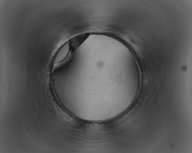 X0000089931459200707131422