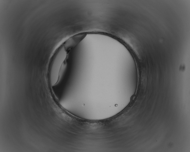 X0000089931460200707131422