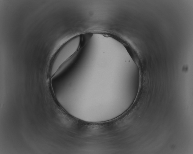 X0000089931461200707131422