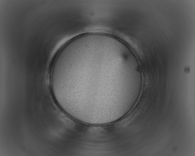 X0000089931462200707131422