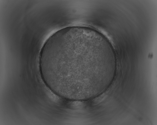 X0000089931463200707131422