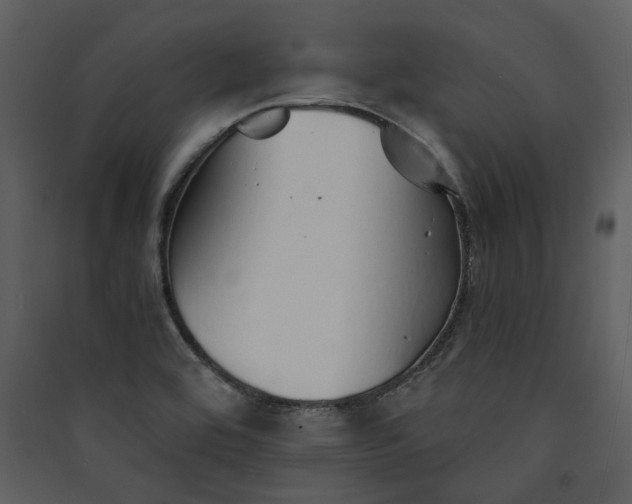 X0000089931464200707131422