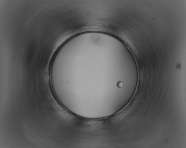 X0000089931466200707131422