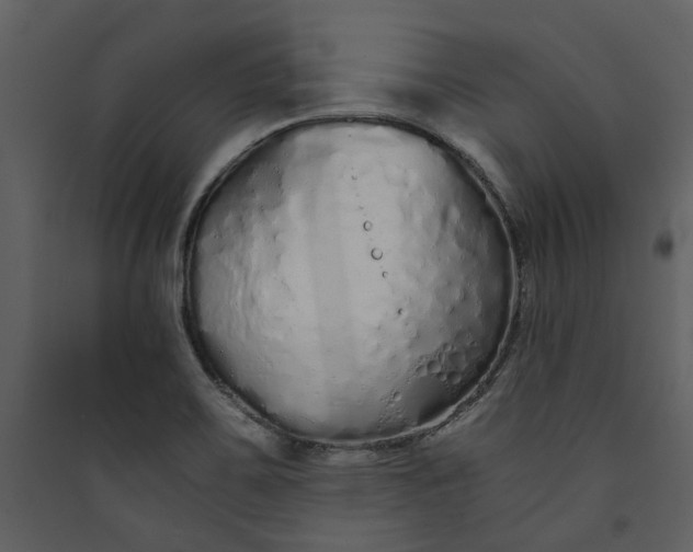 X0000089931467200707131422