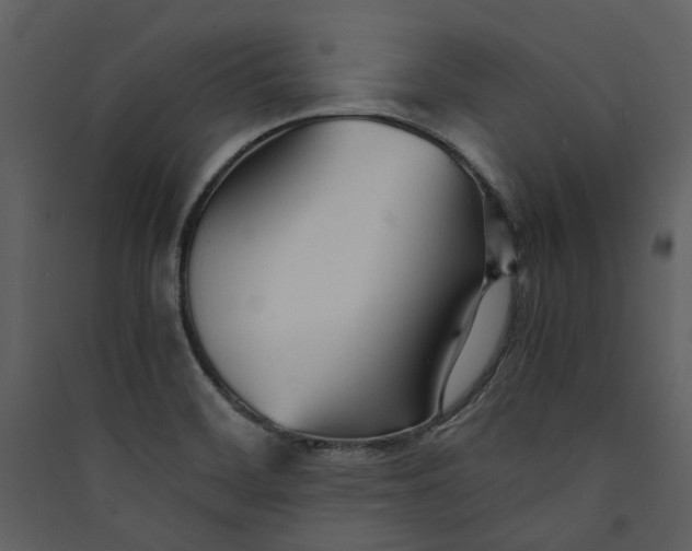 X0000089931468200707131422