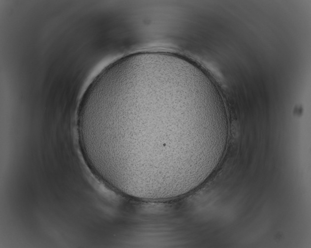 X0000089931470200707131422