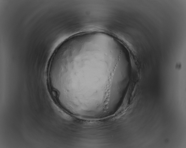 X0000089931471200707131422