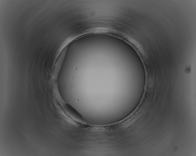 X0000089931473200707131422