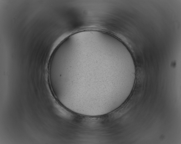 X0000089931474200707131422