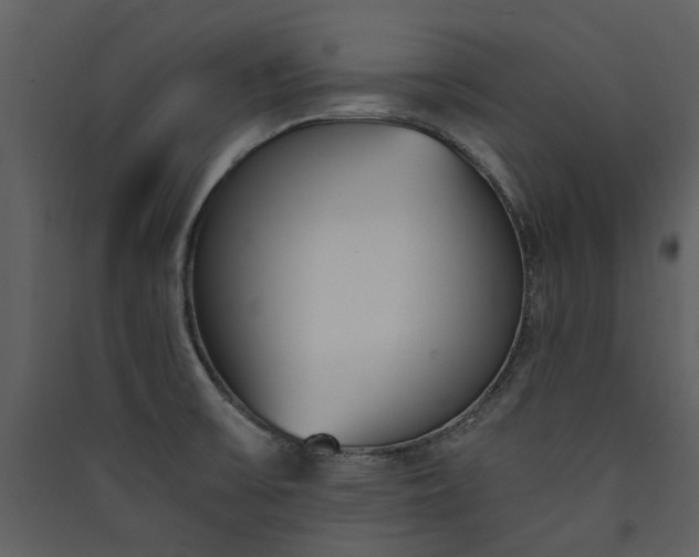 X0000089931475200707131422