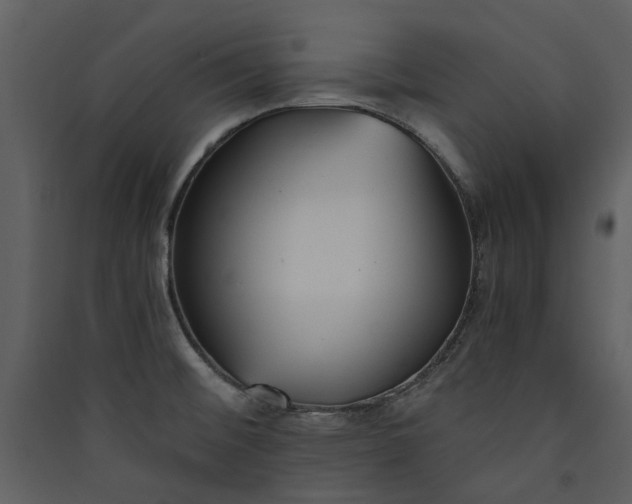 X0000089931476200707131422