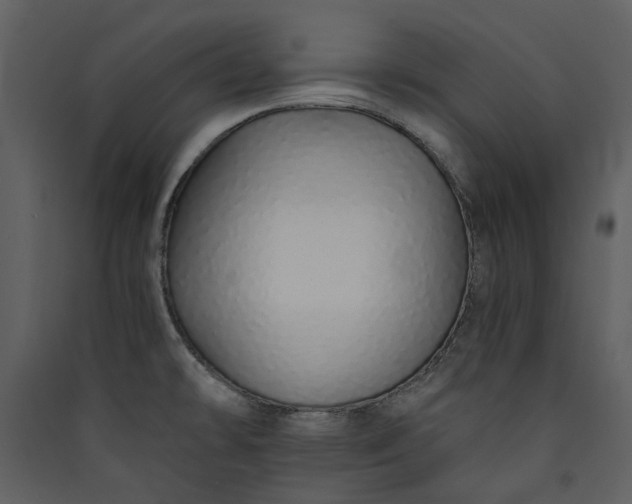 X0000089931478200707131422