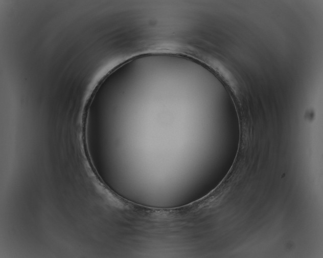 X0000089931480200707131422