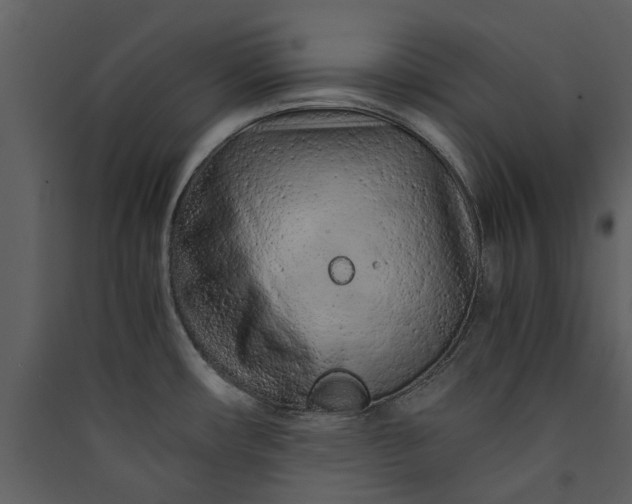 X0000089931482200707131422