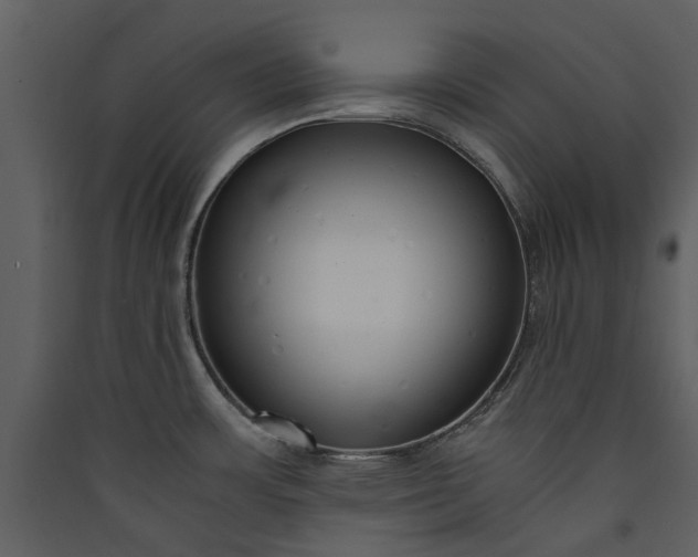 X0000089931483200707131422